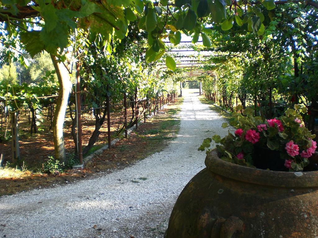 Valle Degli Arci Castel Madama Buitenkant foto